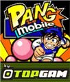 game pic for Topgam Pang